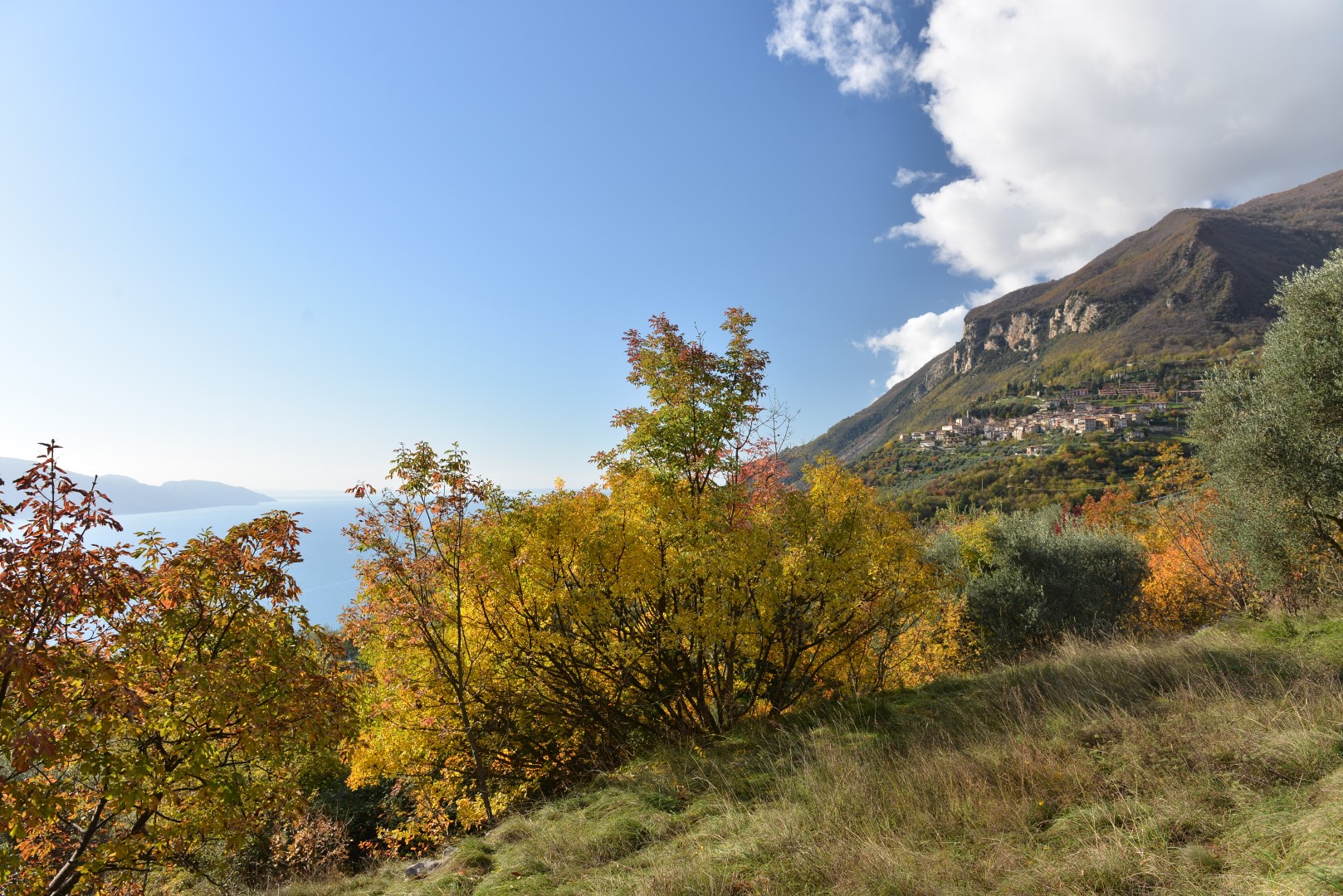 Panorama Tignale sul lago