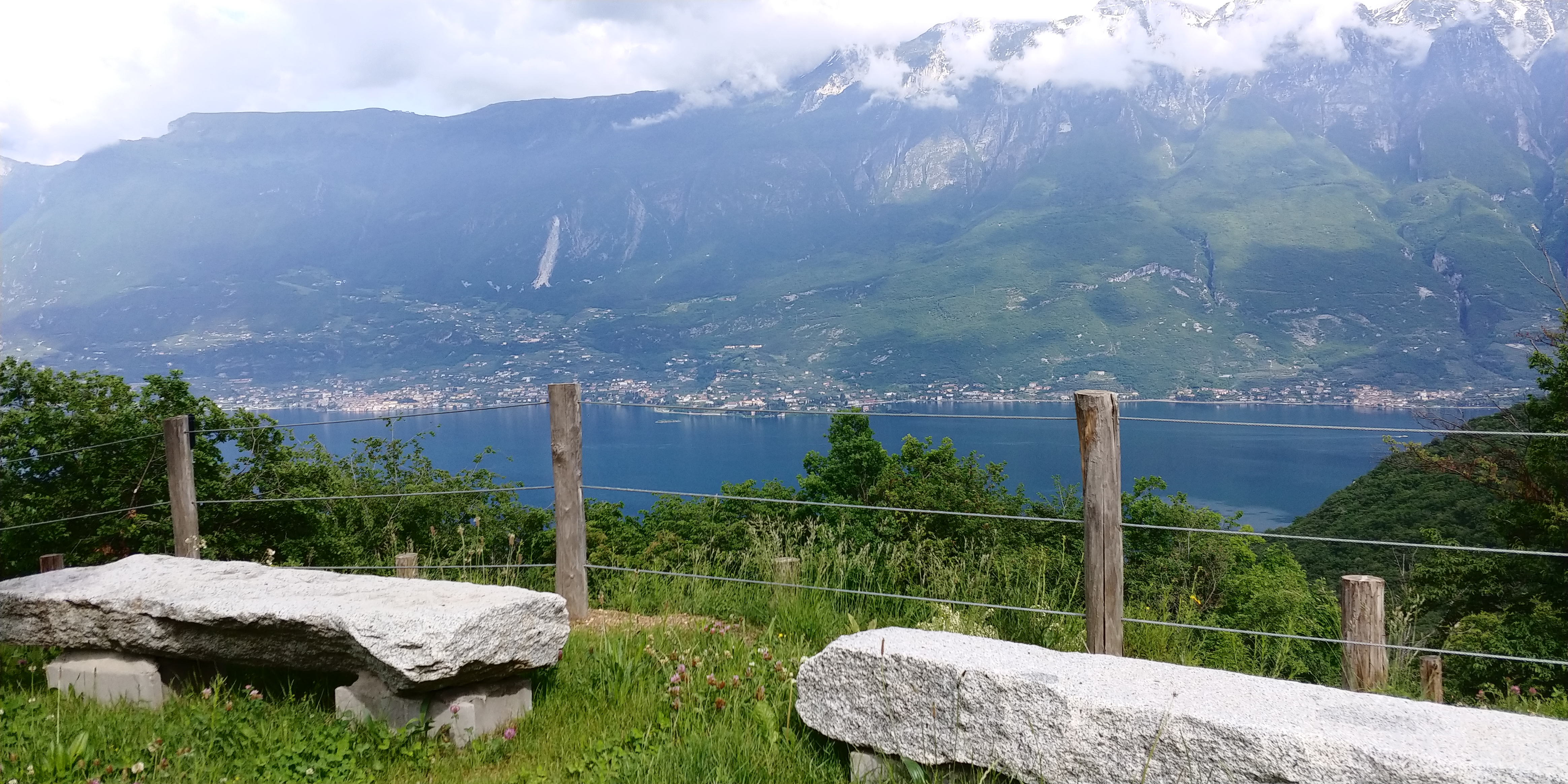 Vista lago con fiori in primo piano